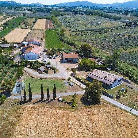 Agriturismo Ferri Bibbona Exterior foto